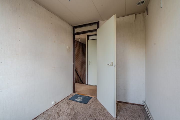 Photo 50 of Tiros 16