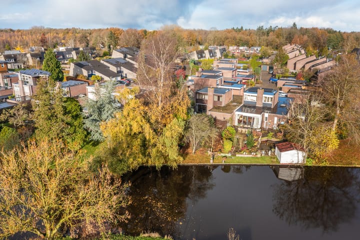 Photo 54 of Tiros 16