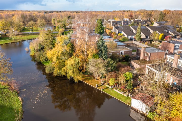 Photo 55 of Tiros 16