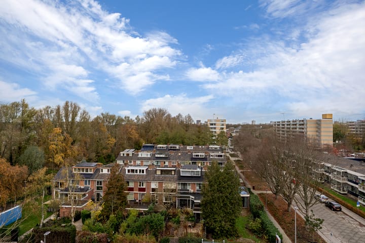 Foto 17 van Van der Helmstraat 261