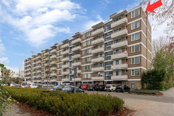 Van der Helmstraat 261