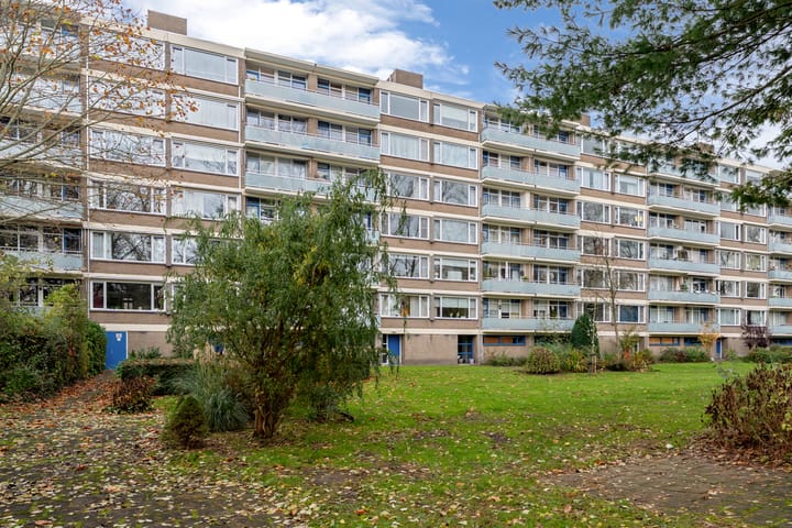 Foto 28 van Van der Helmstraat 261