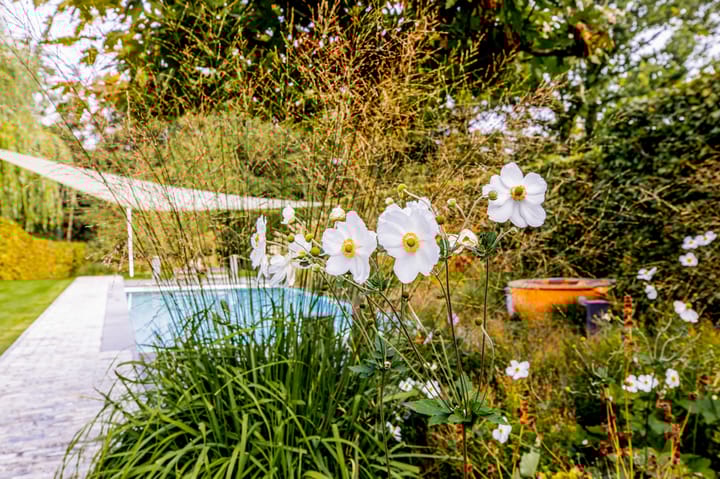 Photo 48 of Beekstraat 18