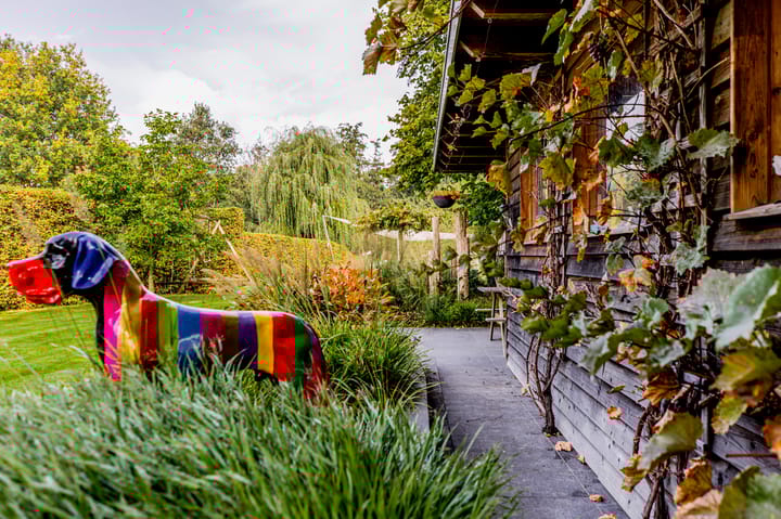 Photo 50 of Beekstraat 18