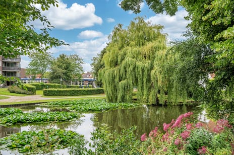 Pastoor Deckersstraat 1 tertiary image