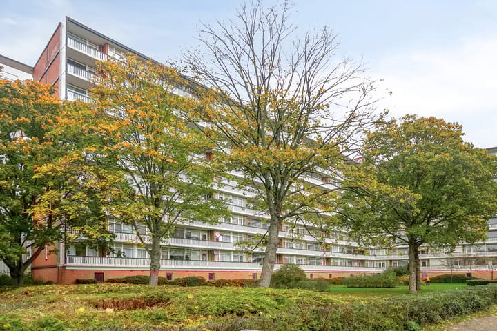 Photo 34 of Boutenburg 31