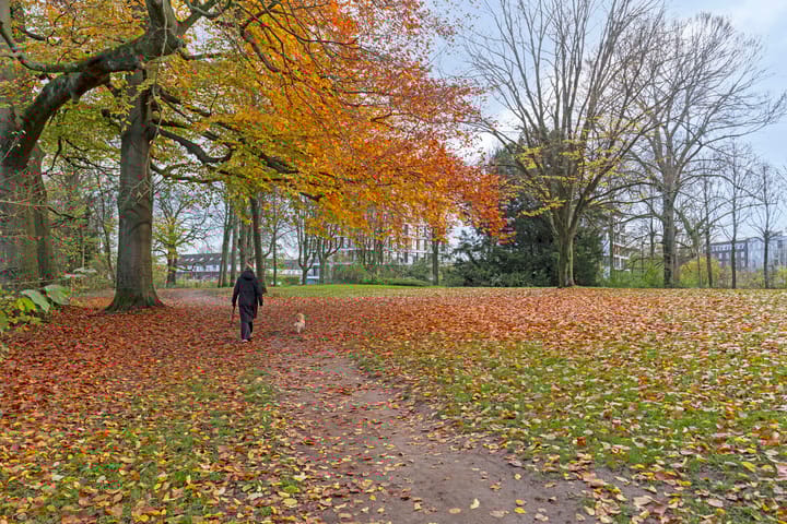 Photo 35 of De Clercqstraat 10