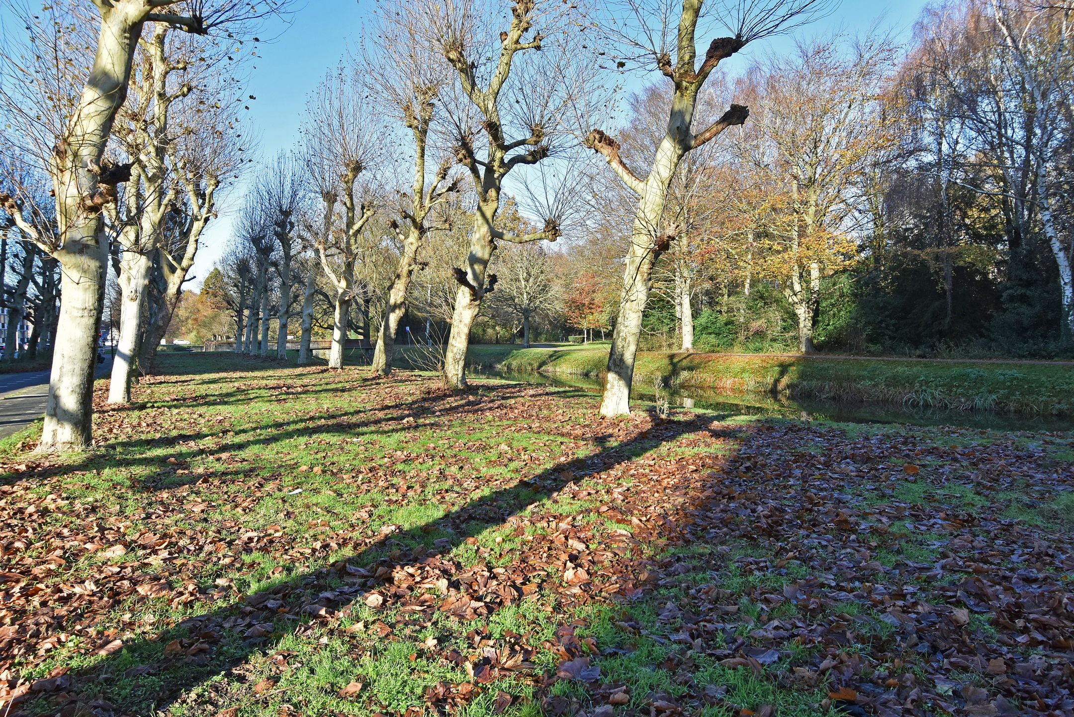 Foto 33 van Spinozalaan 37-F