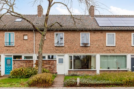 Biezenstraat thumbnail