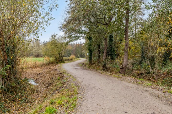 Foto 38 van Biezenstraat 18