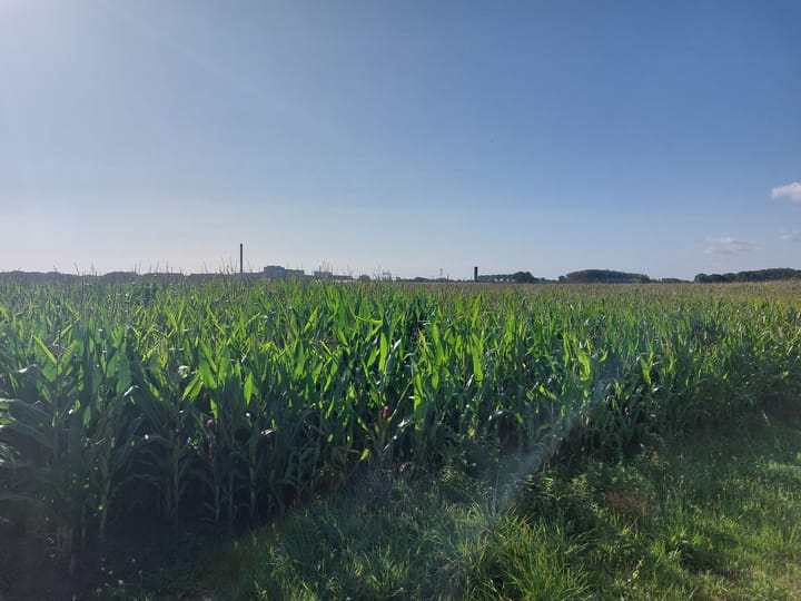 Holterbergsestraat, Roosendaal