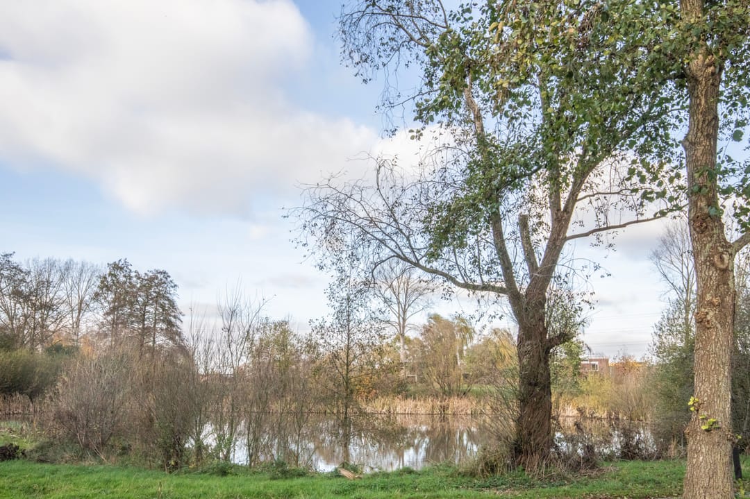 Foto 8 van Geerlanden 12