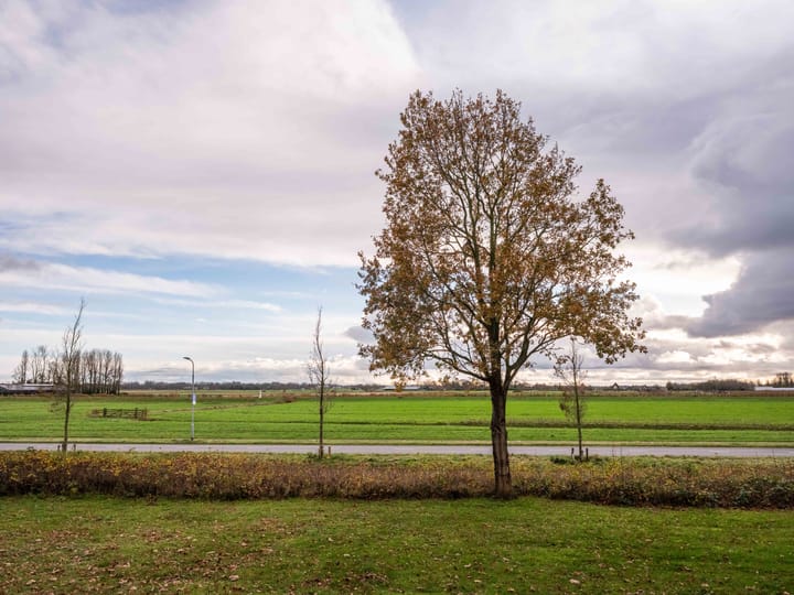 Foto 23 van Lijtweg 155