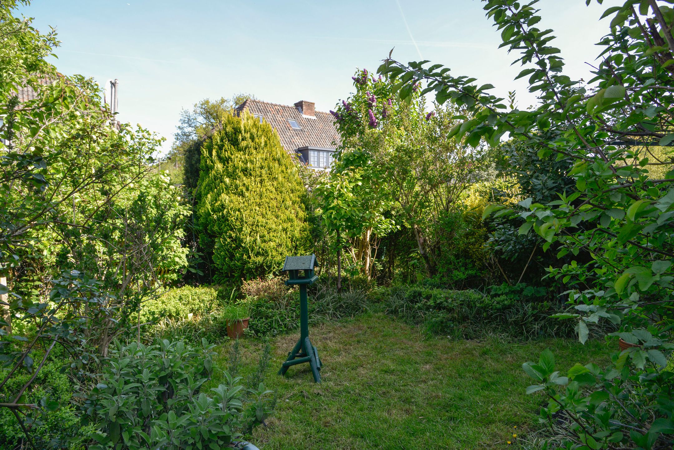 Foto 21 van De Schout 8