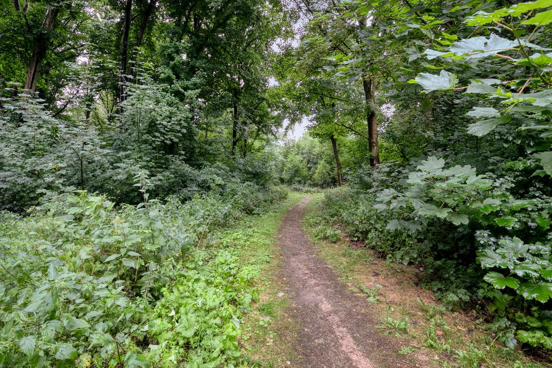 Foto 47 van Langstraat 166