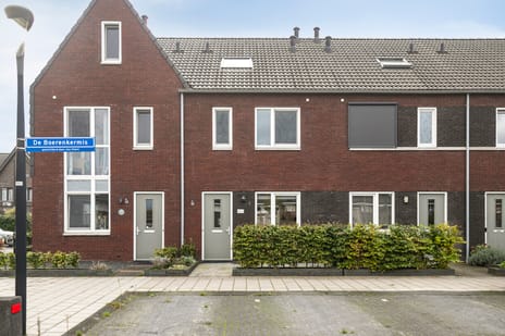 De Boerenkermis thumbnail