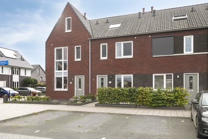 Photo 5 of De Boerenkermis 34