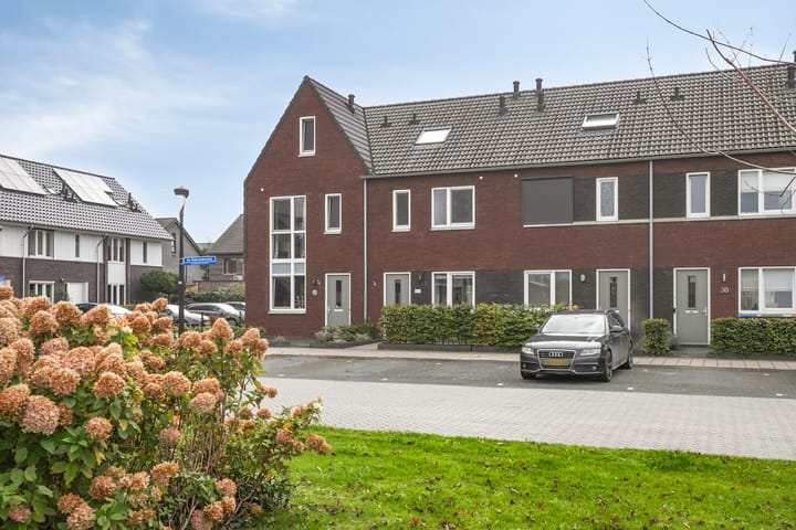 Photo 32 of De Boerenkermis 34