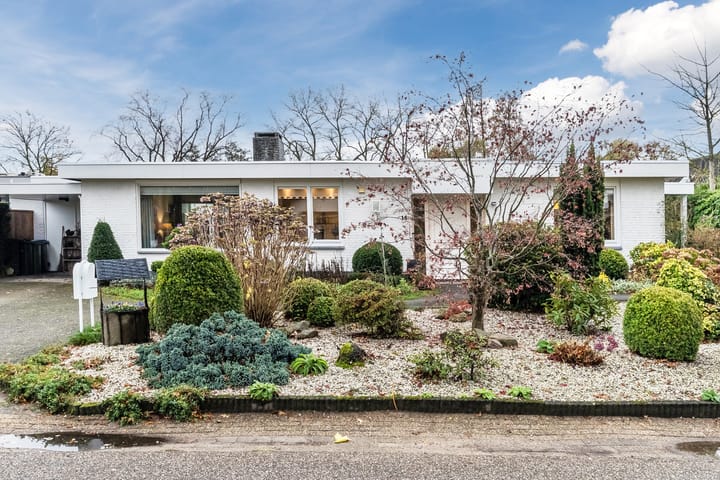 Watermolensteeg 14 main image