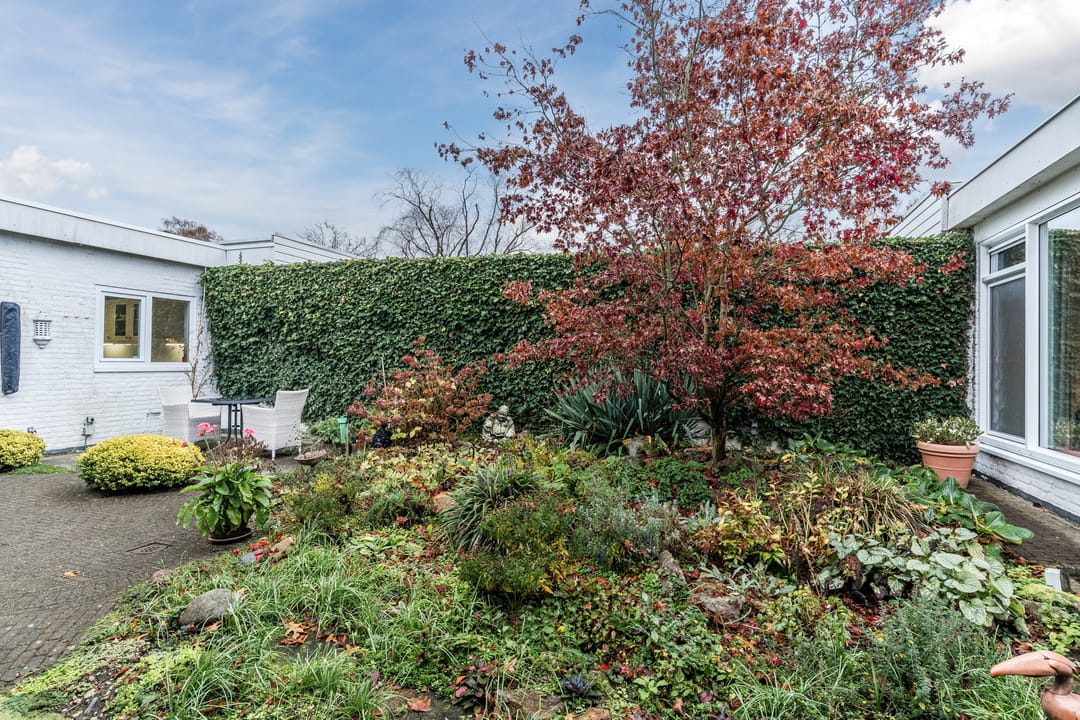 Photo 46 of Watermolensteeg 14