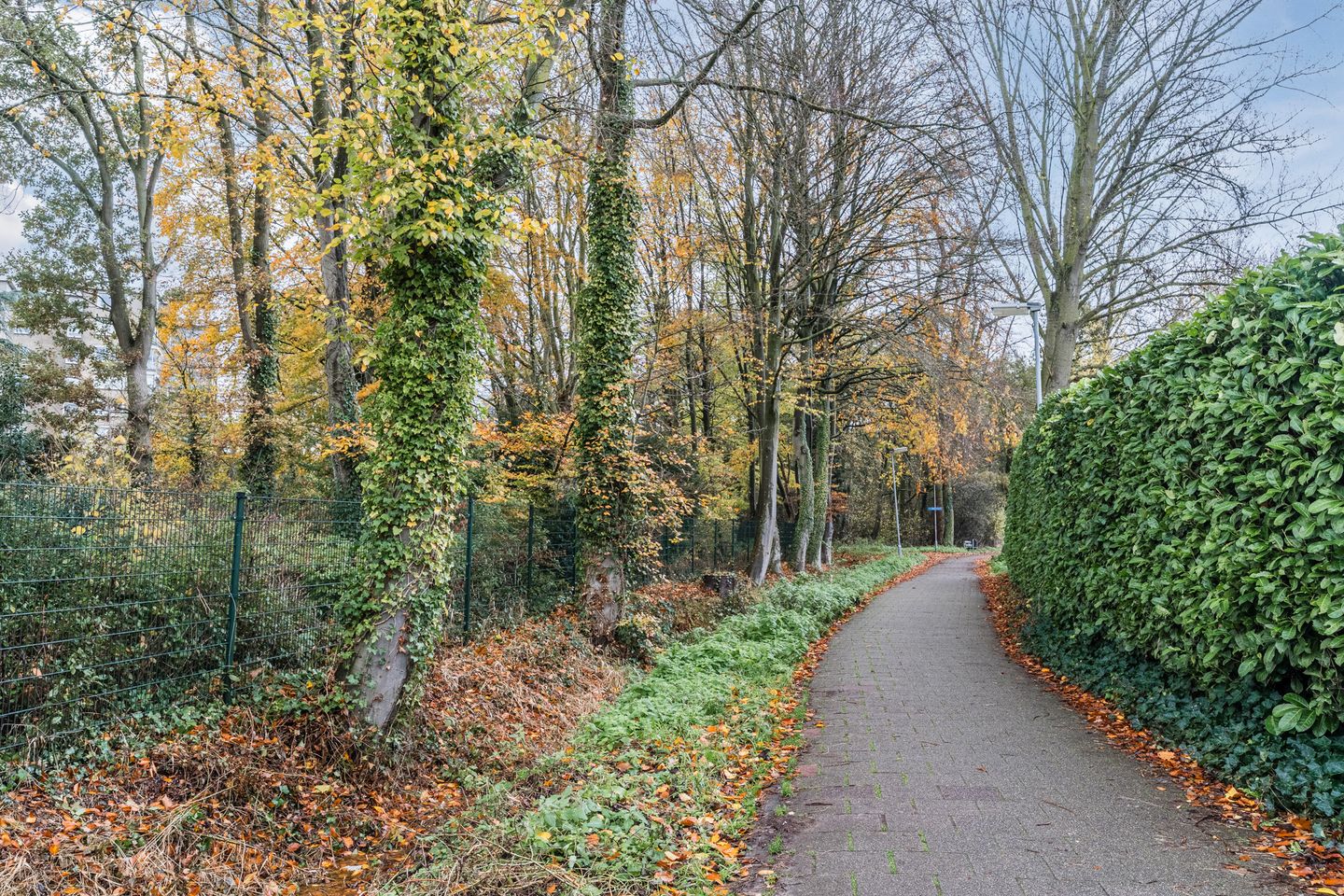 Photo 55 of Watermolensteeg 14