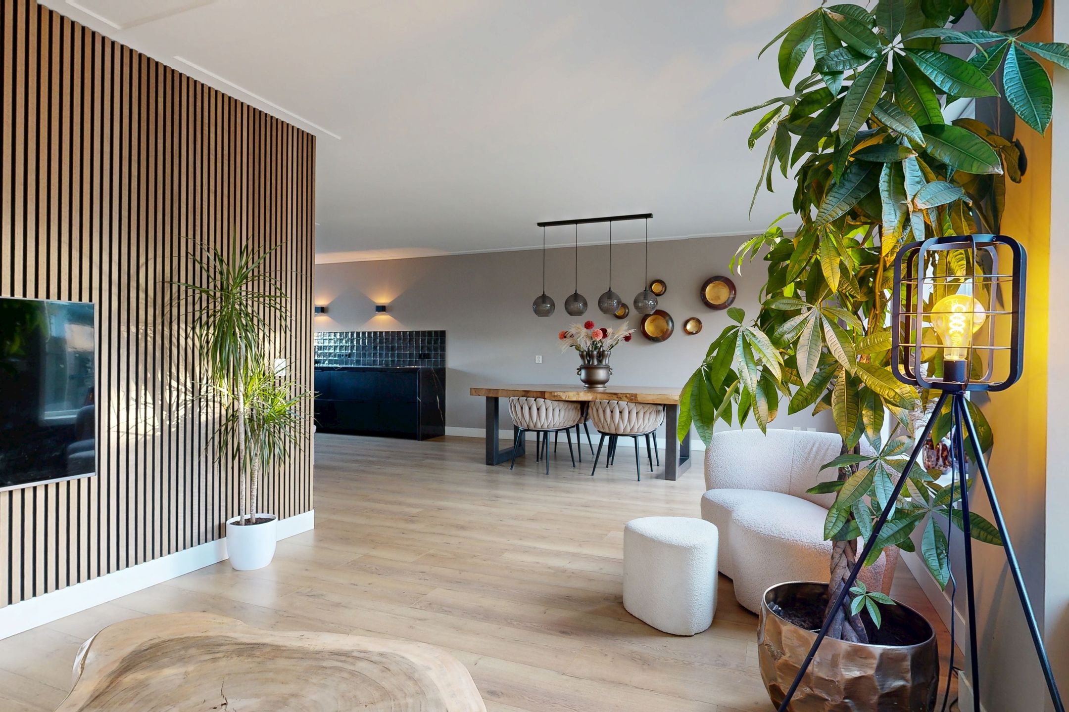 Photo 6 of Molentocht 12