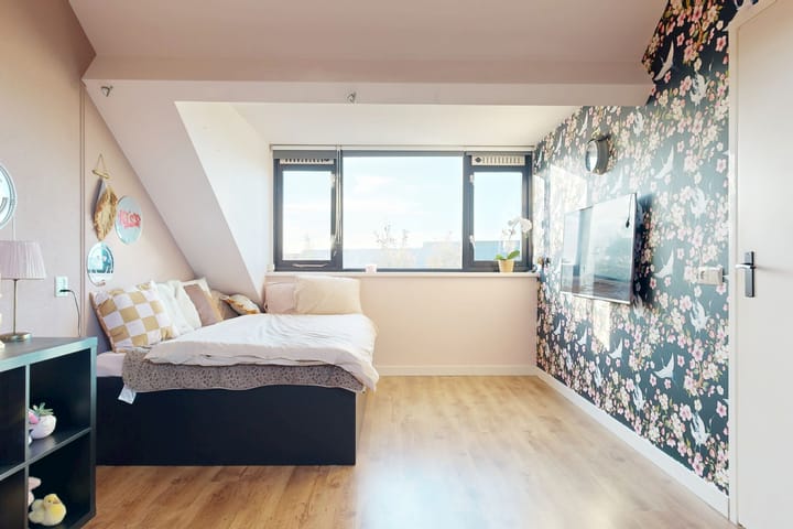 Photo 36 of Molentocht 12