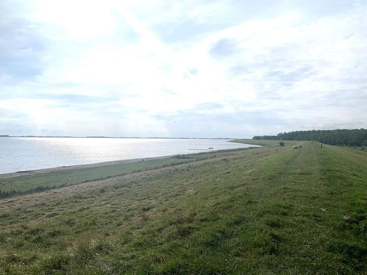 Photo 45 of Herkingsezeedijk 216