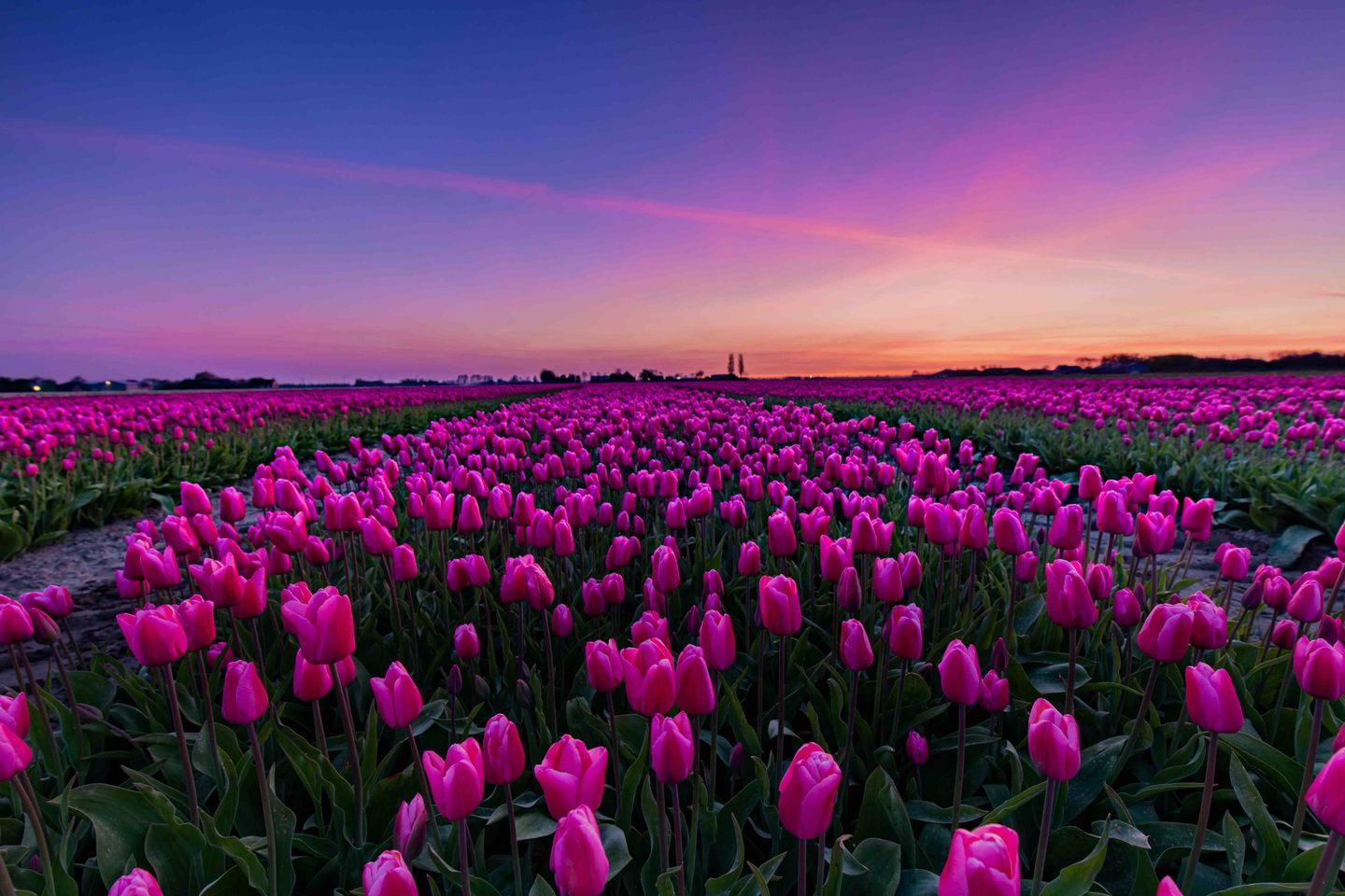 Foto 49 van Herkingsezeedijk 216