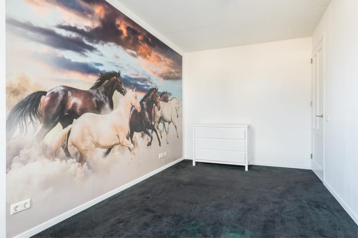 Photo 27 of Kraanvogellaan 18