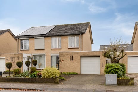 Goudplevier thumbnail