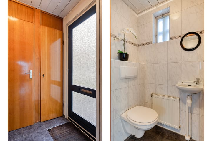 Foto 7 van Goudplevier 76