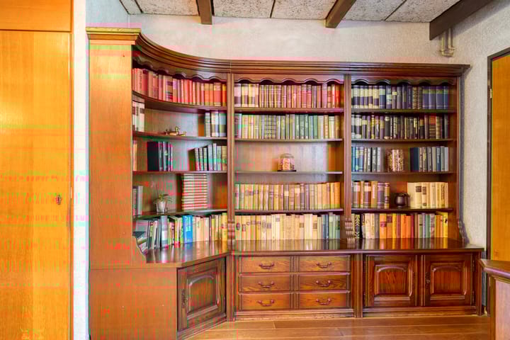 Foto 10 van Goudplevier 76