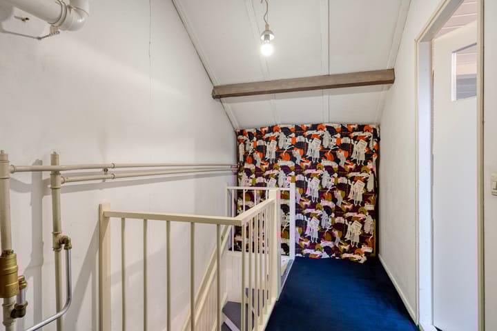 Foto 24 van Goudplevier 76