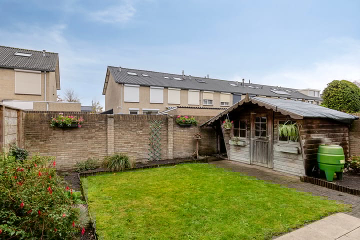 Foto 27 van Goudplevier 76