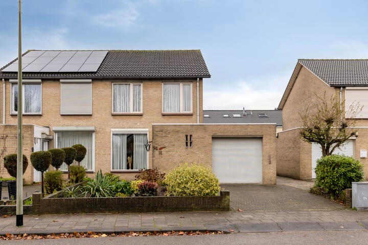 Foto 30 van Goudplevier 76