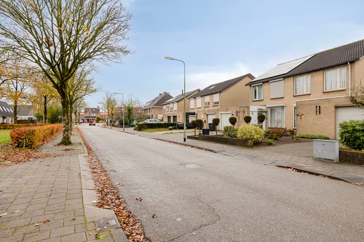 Foto 31 van Goudplevier 76