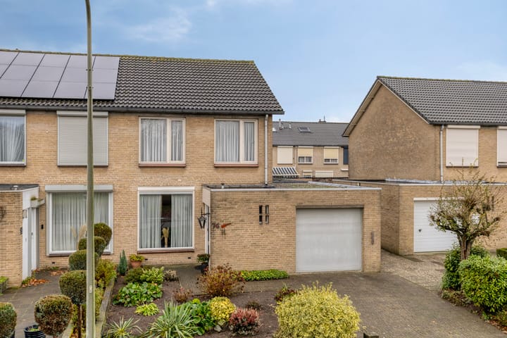 Foto 32 van Goudplevier 76