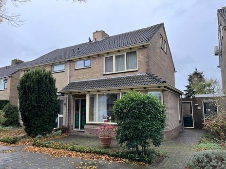 undefined main image