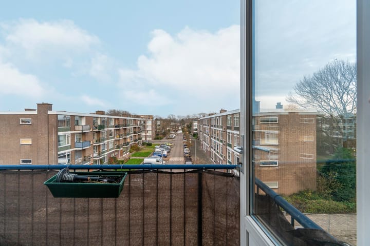 Photo 29 of Middelrode 83