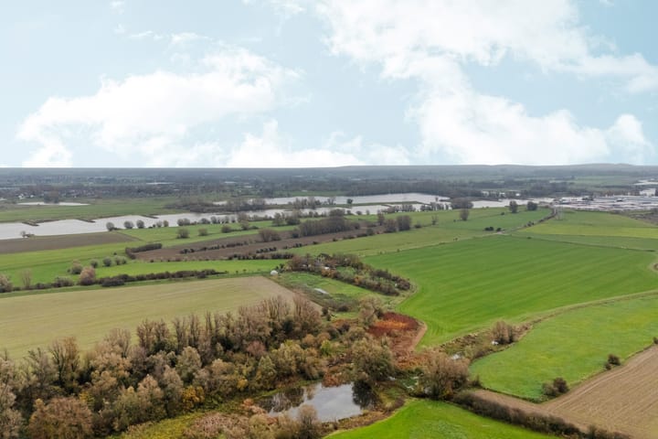 Photo 54 of Duimeling 3