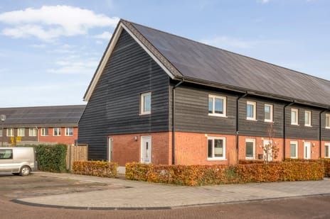 Snoekbaars thumbnail