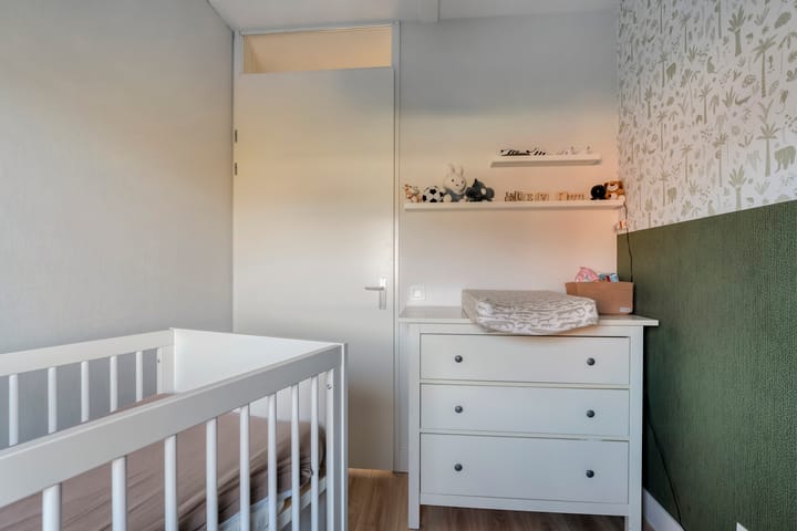 Photo 27 of Snoekbaars 17