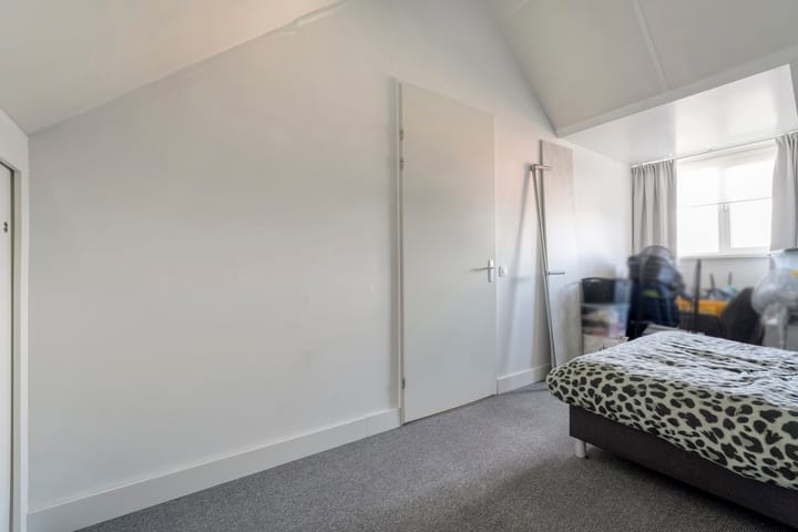 Photo 36 of Snoekbaars 17