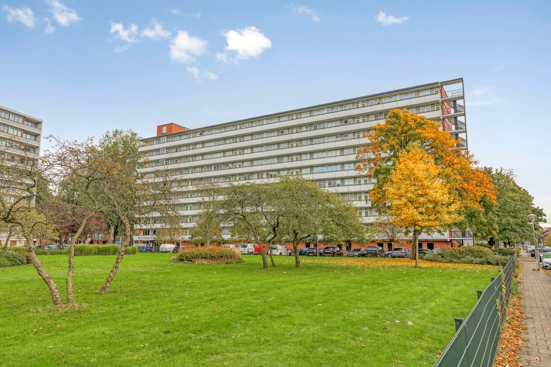 Foto 8 van Boutenburg 85