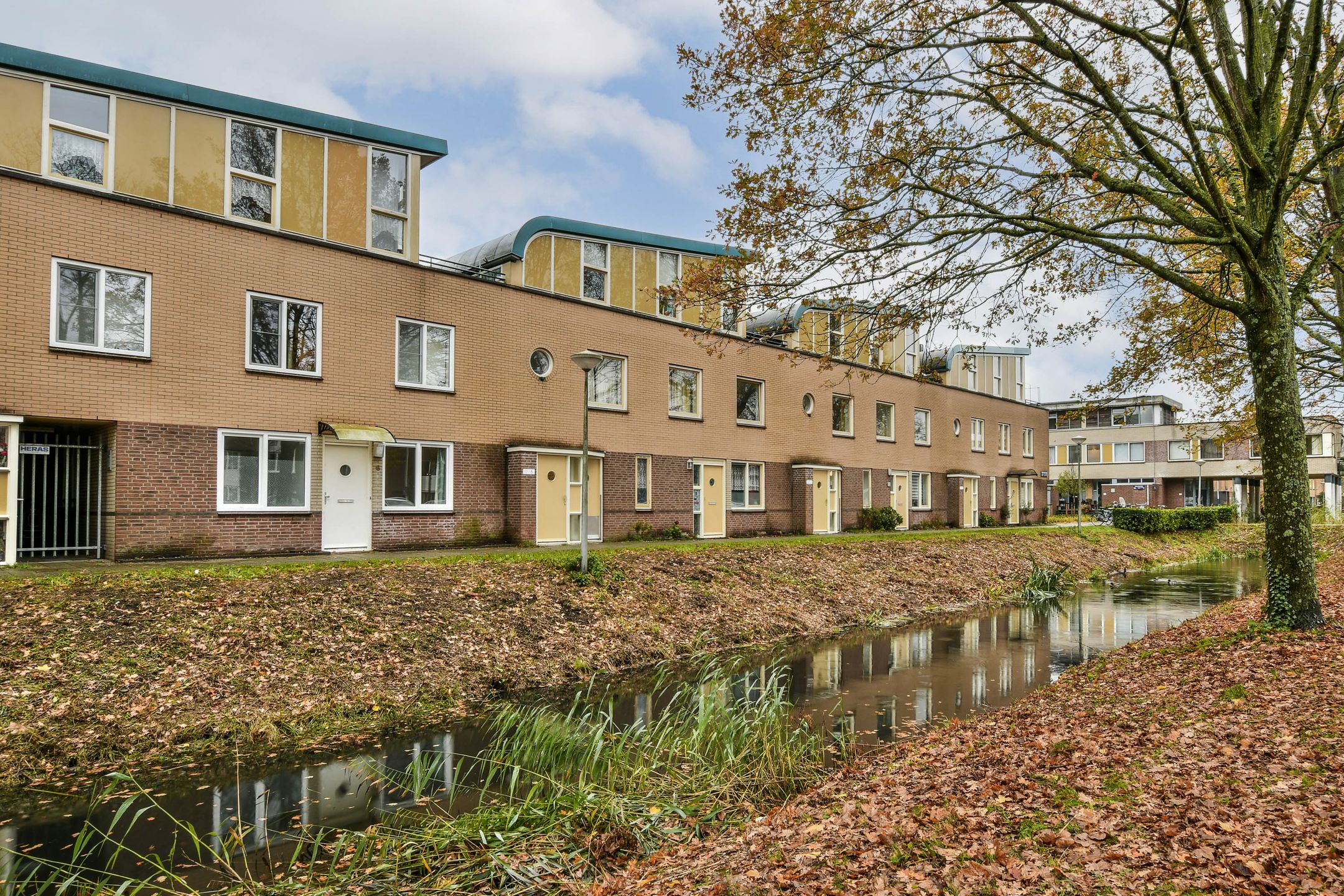 Foto 24 van Ibrahim Moustafapad 6