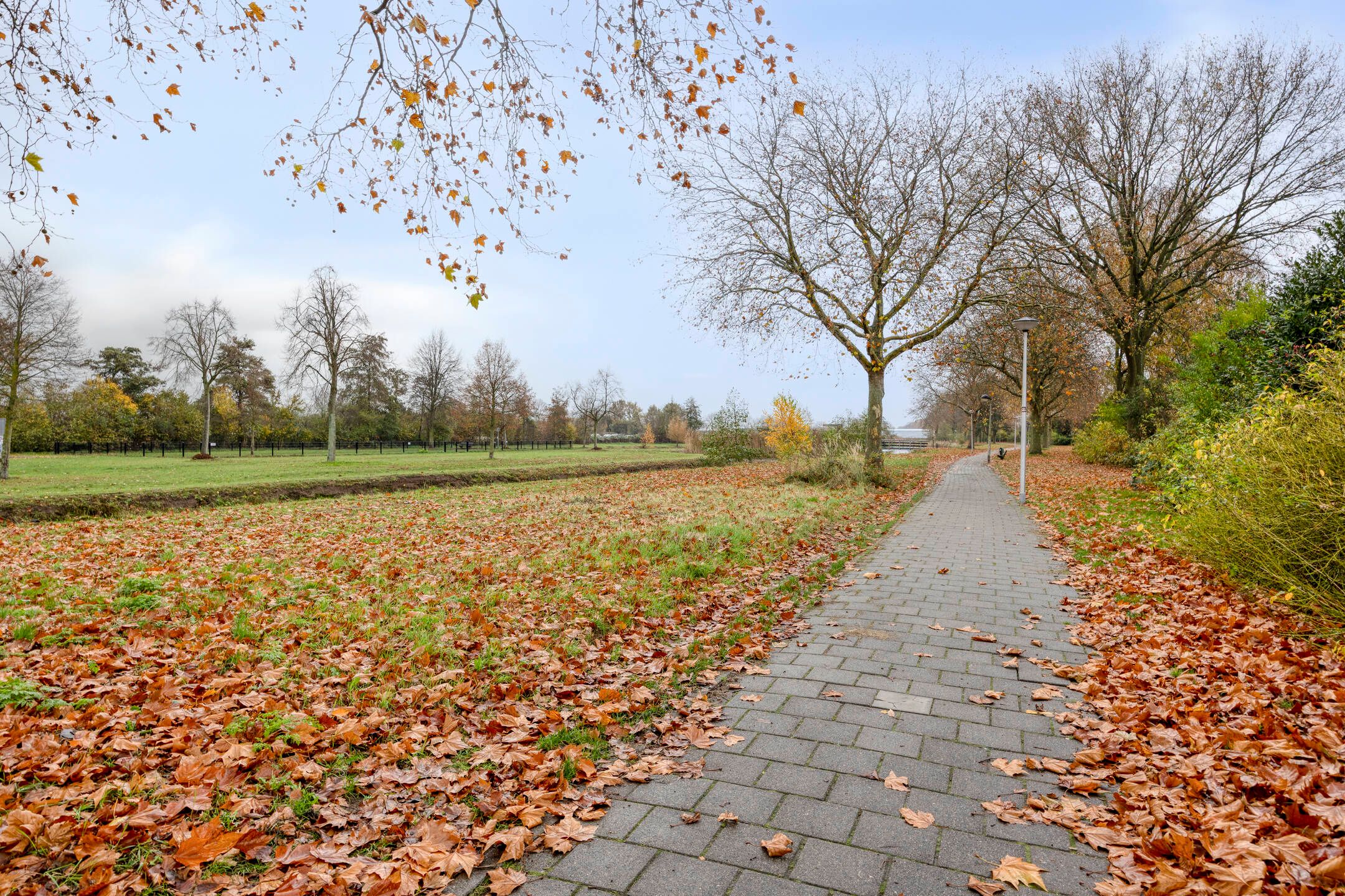 Foto 45 van Costerlaan 36