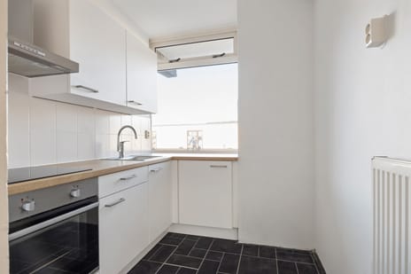 Van Foreestweg thumbnail