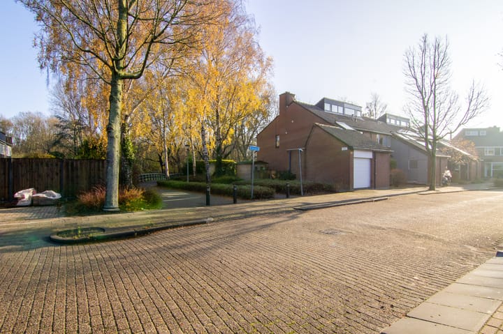 Photo 35 of Acaciadreef 6