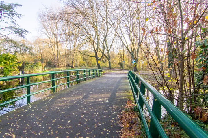 Photo 36 of Acaciadreef 6